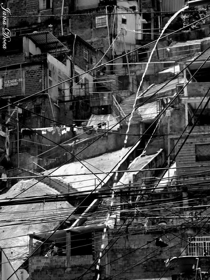 1452033_1429335333951484_1609826893_n