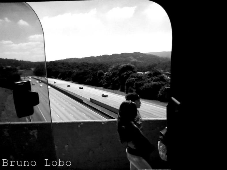 197768_541307295912042_433171356_n