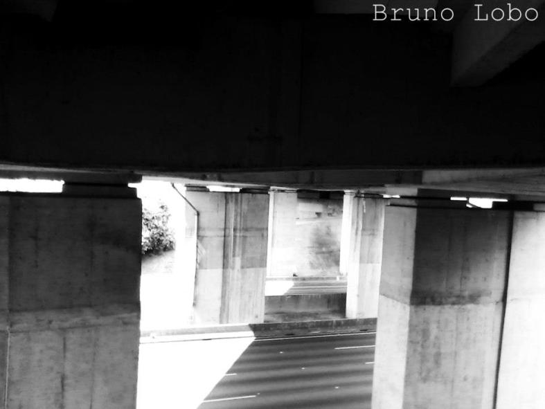 68533_541306815912090_2011060192_n