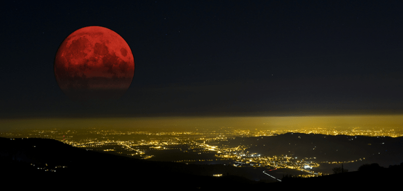 10169448_599740826788847_8024712117089540018_n