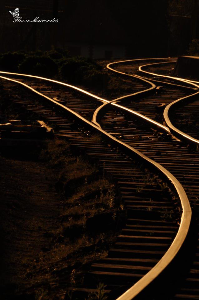 Fotos_Flavia Marcondes (19)