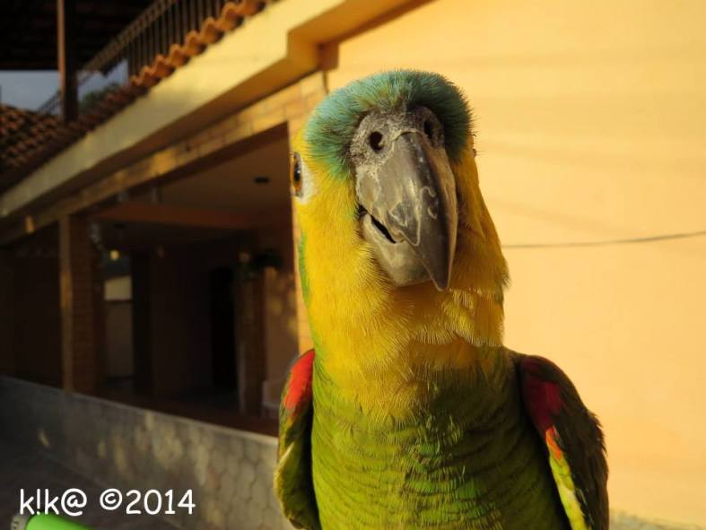 10363422_699676446735882_2392920608446004124_n