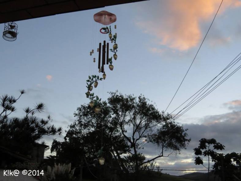 10380316_699676646735862_6241087796819101913_n