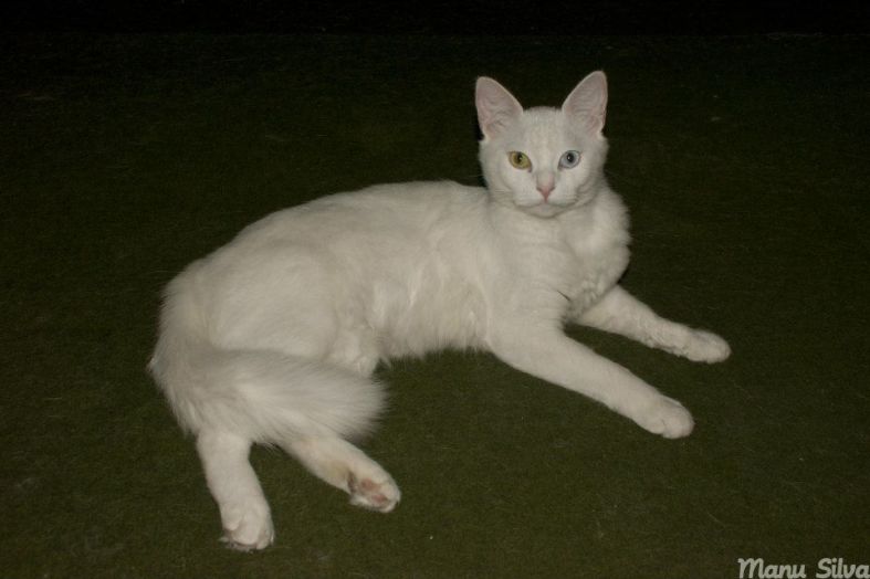 1235194_550206431719915_1706045779_n