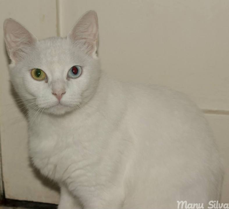 1375204_550206278386597_86416893_n