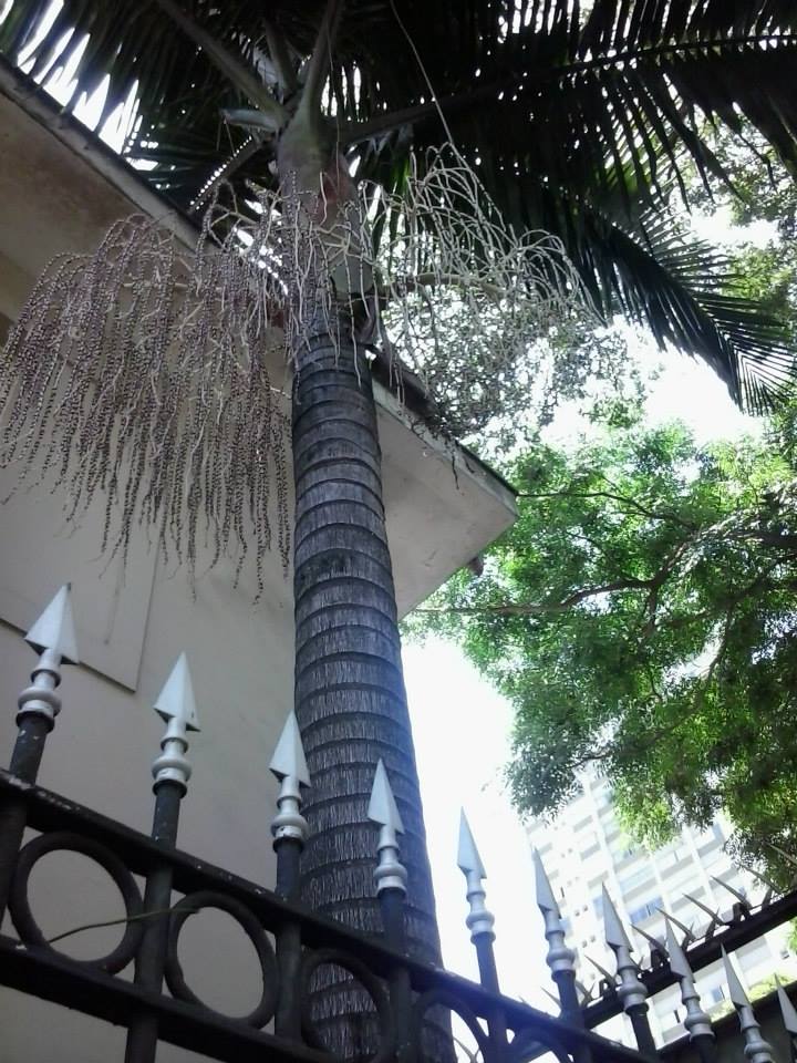 1510734_1450009101889300_1190752921_n