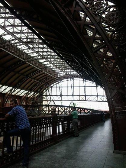 1521343_1450014398555437_1438642291_n