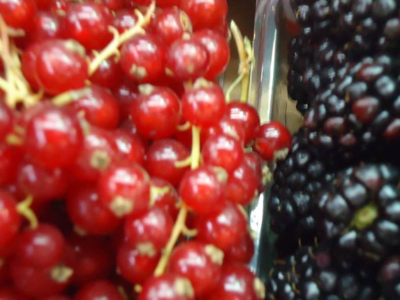 1743568_1484196535137223_133420966_n