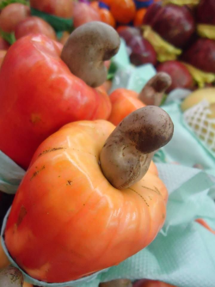 1939599_1484196555137221_1788901451_n