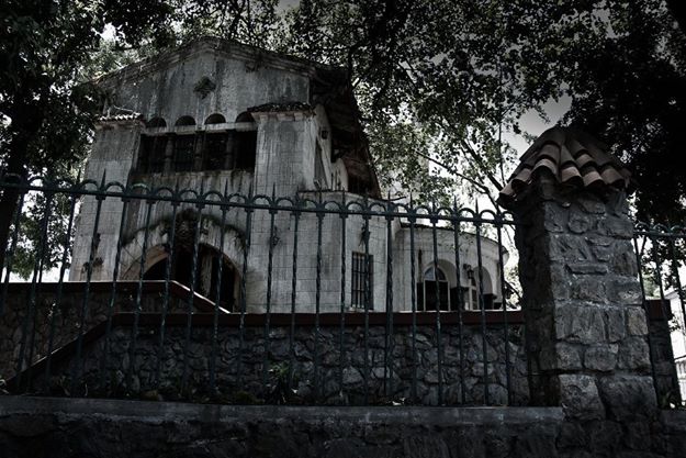 223810_443289615689796_640149566_n