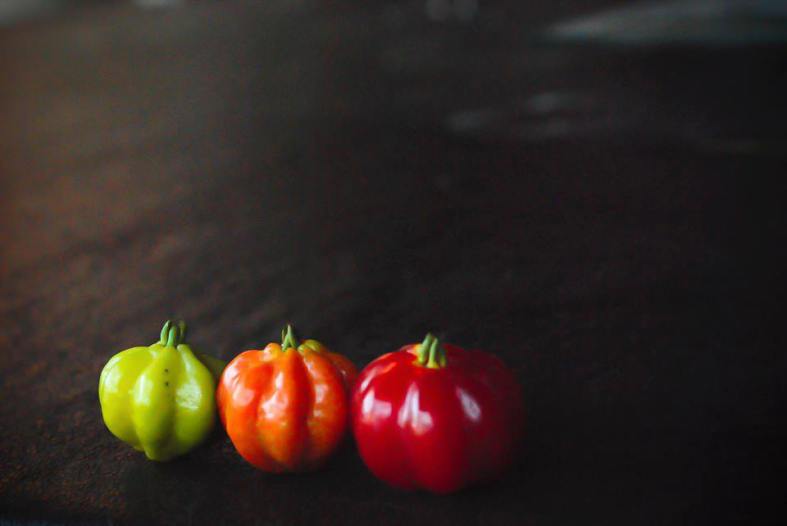 10589908_10152624053339644_1700451413_n