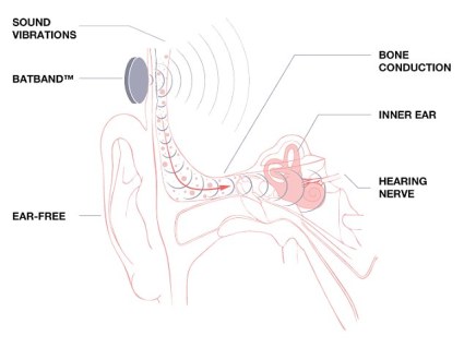 2C55984900000578-3235046-image-a-4_1442310927214