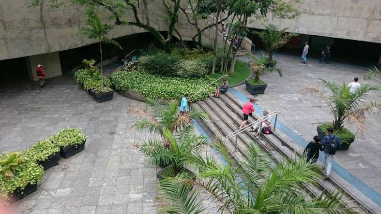 12248702_10208226454525625_707250026_n