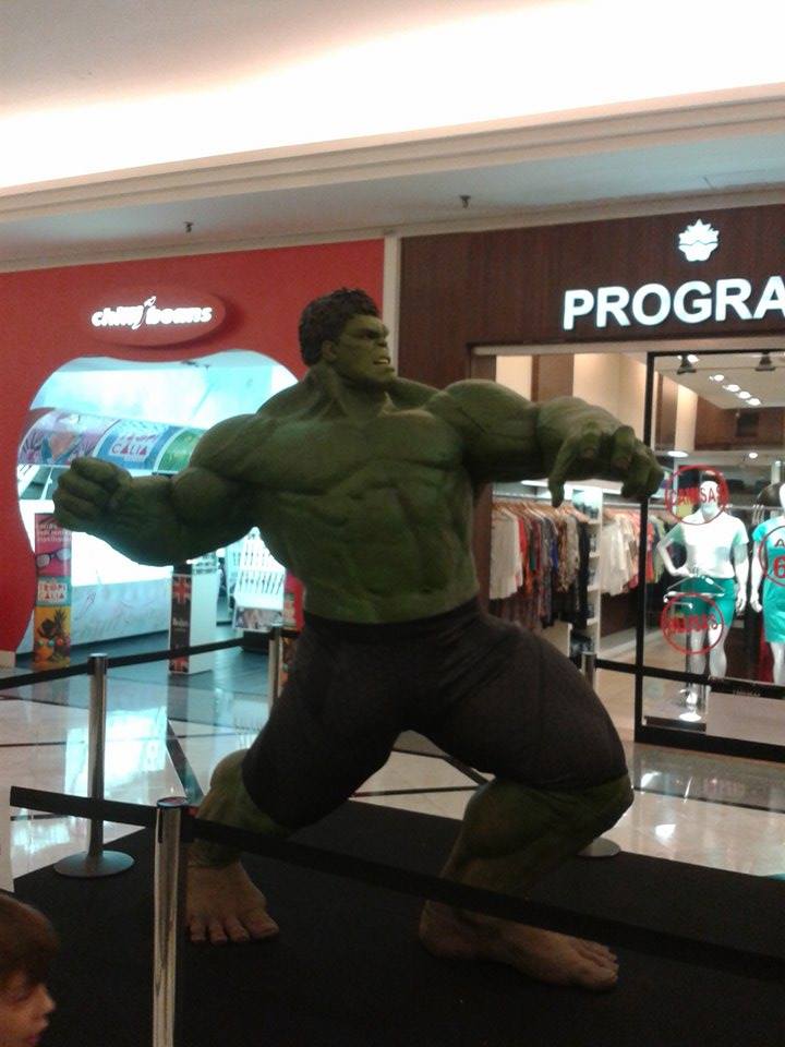 12736098_10208892004963970_934004617_n