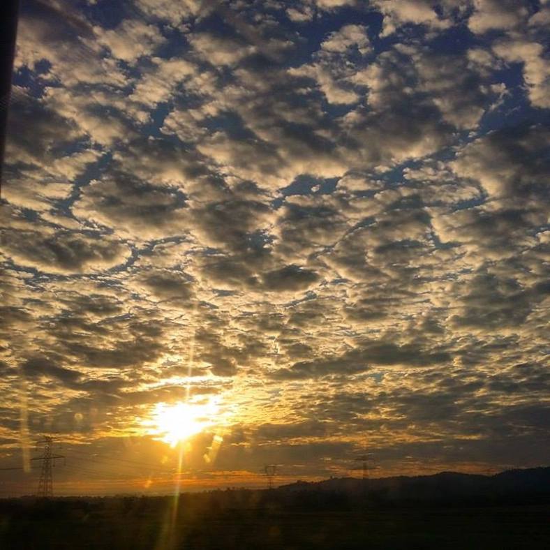 13046233_10201726891691287_1748641643_n