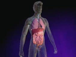 Symptoms and Effects of Cystic Fibrosis