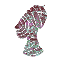 10406697_390218527808091_1254869643493546080_n