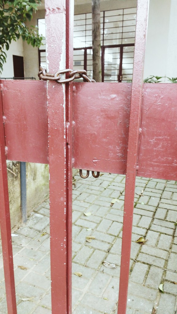 Processed with VSCO with m3 preset