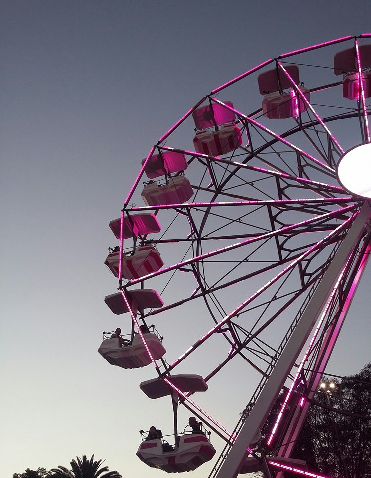 14813687_10202427261280089_1150234958_n