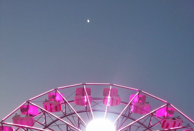 14875021_10202427268480269_1157684646_n