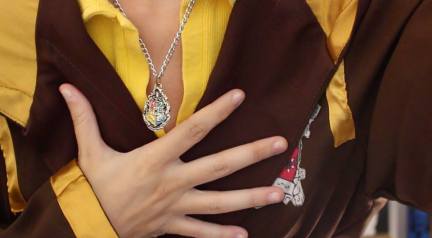 11071611_851503261552085_2186806333340903368_n